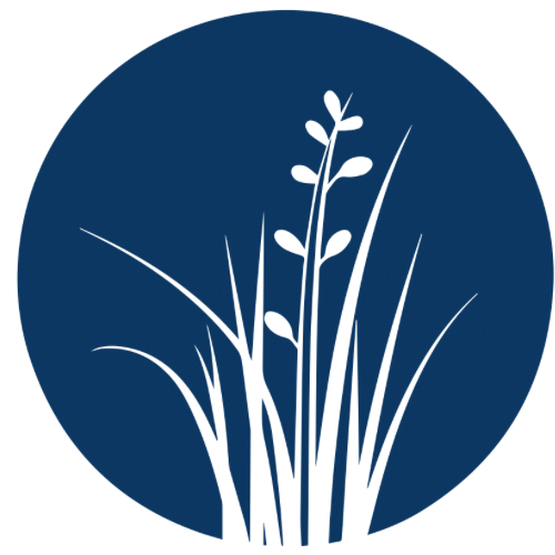 placeholder image for service